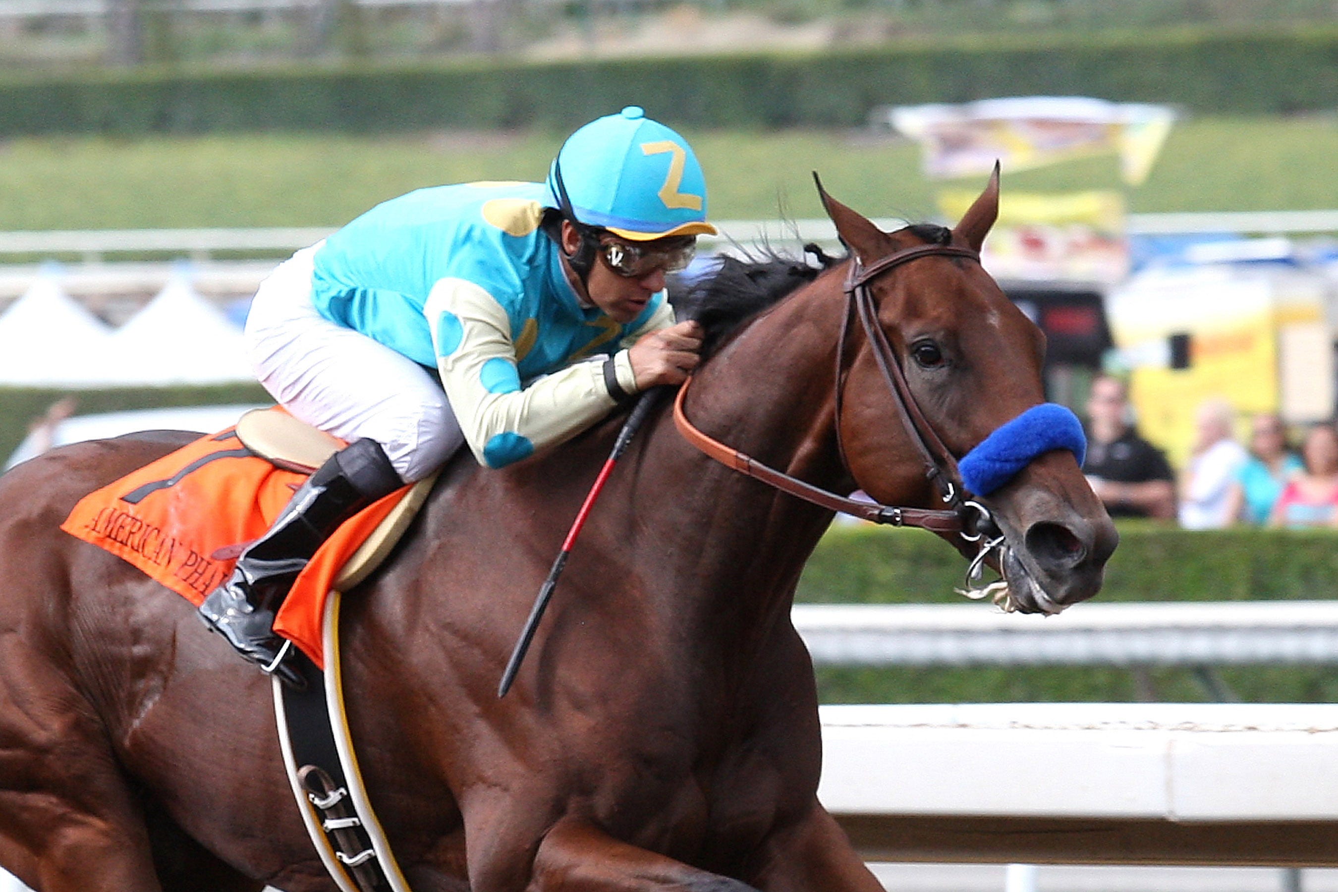 American Pharoah delivers as FrontRunner favorite